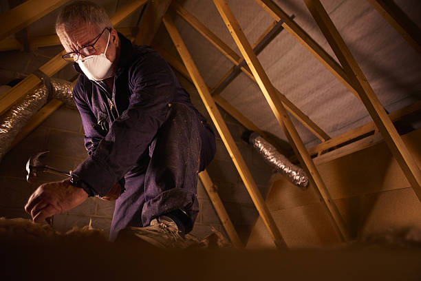 Best Fiberglass Insulation  in Ller, WA